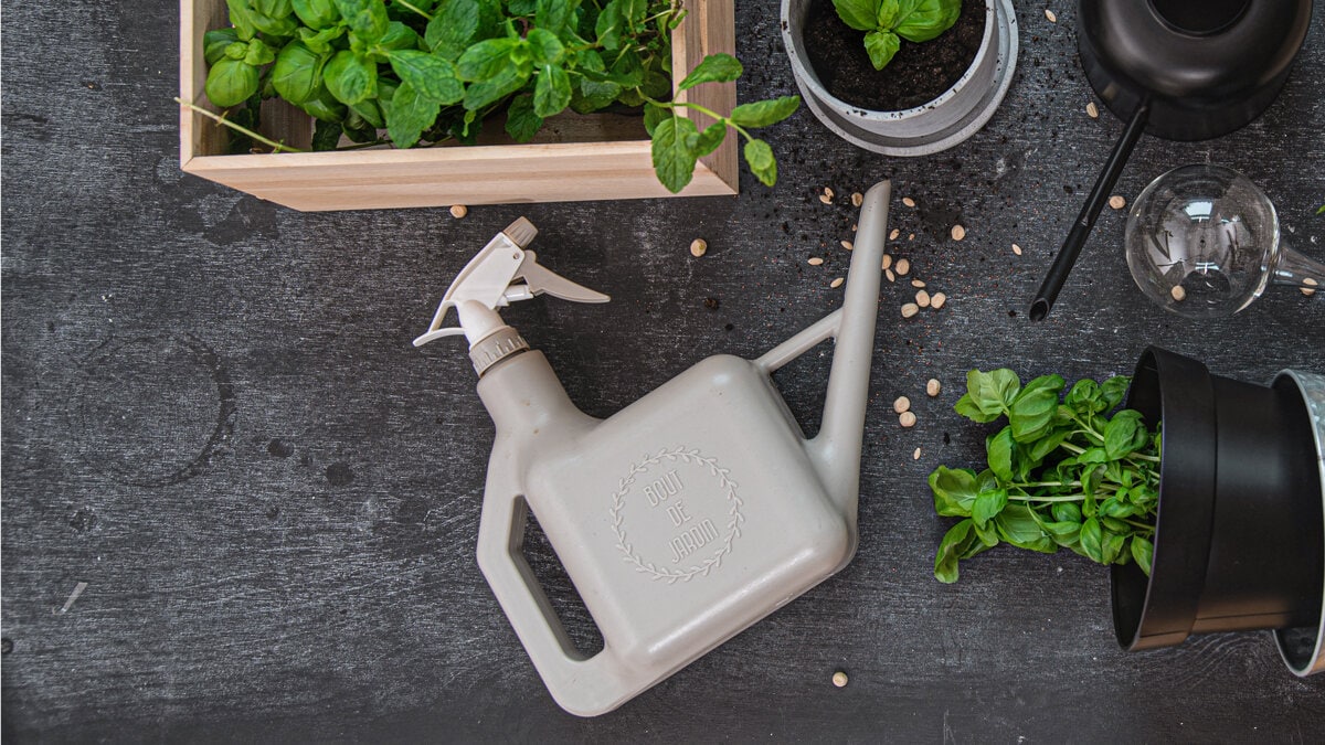 Beige vattenkanna med spraymunstycke på mörkt underlag, omgiven av gröna växter och jord.