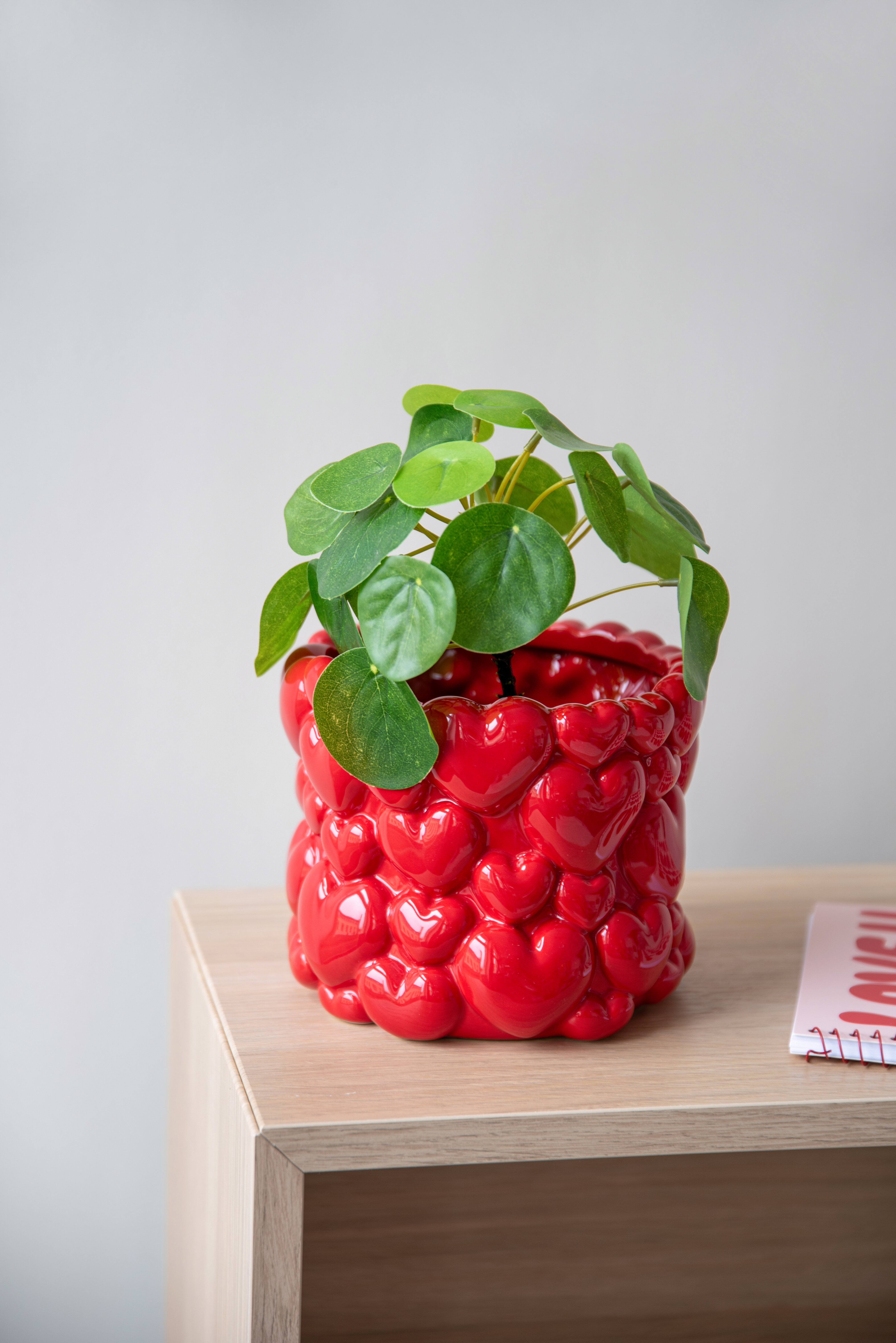 Röd kruka med grön växt placerad på ett sidobord i trä