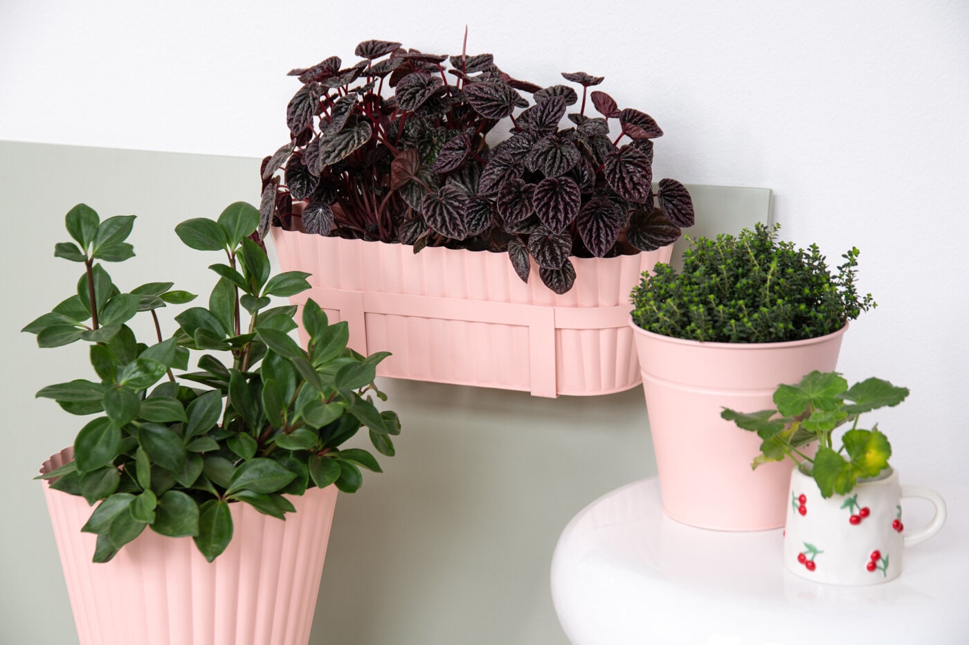 Rosa blomkrukor med gröna växter i.