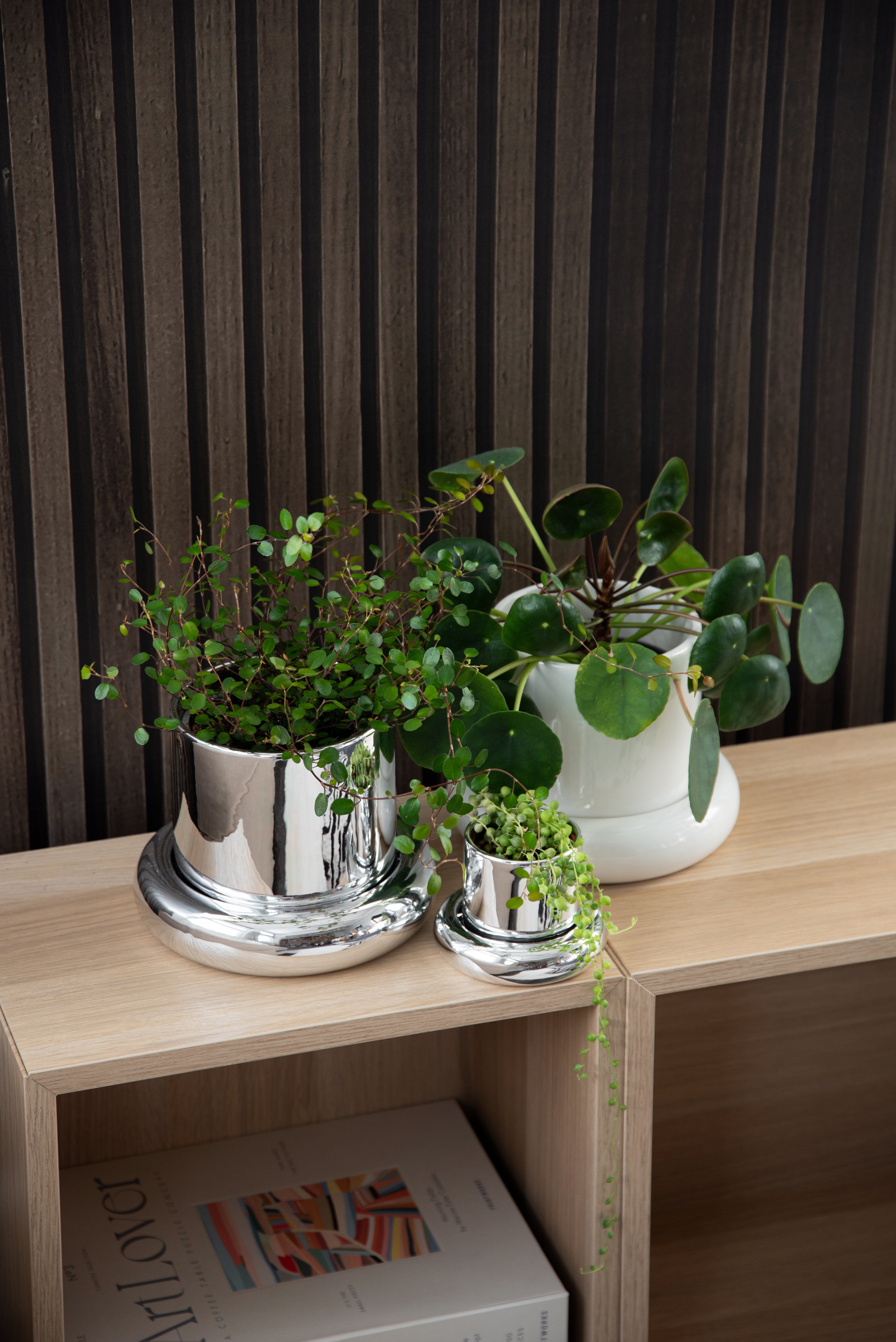 Gröna växter i dekorativa krukor på hylla