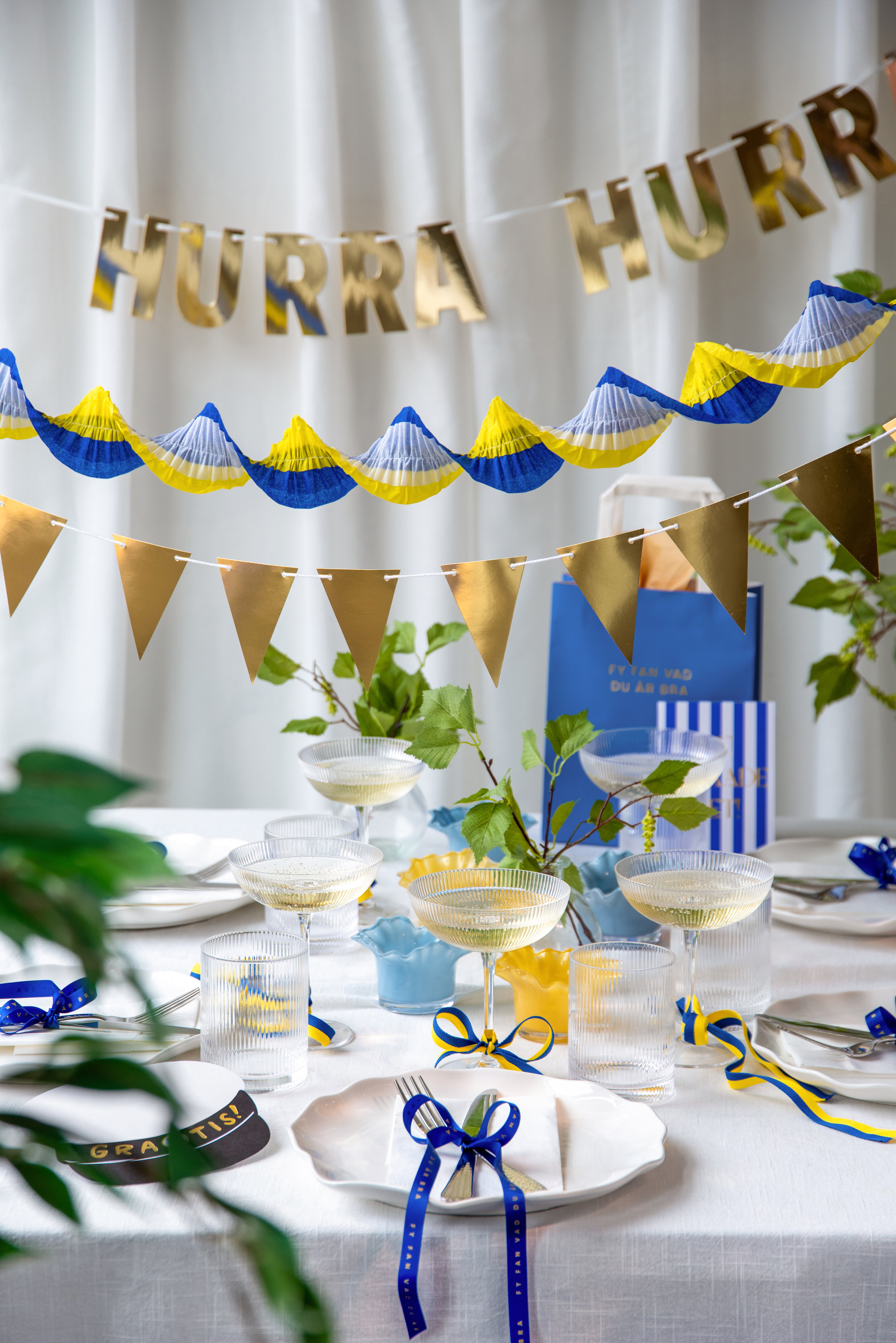 Studentdekorationer med girlanger och dukning.