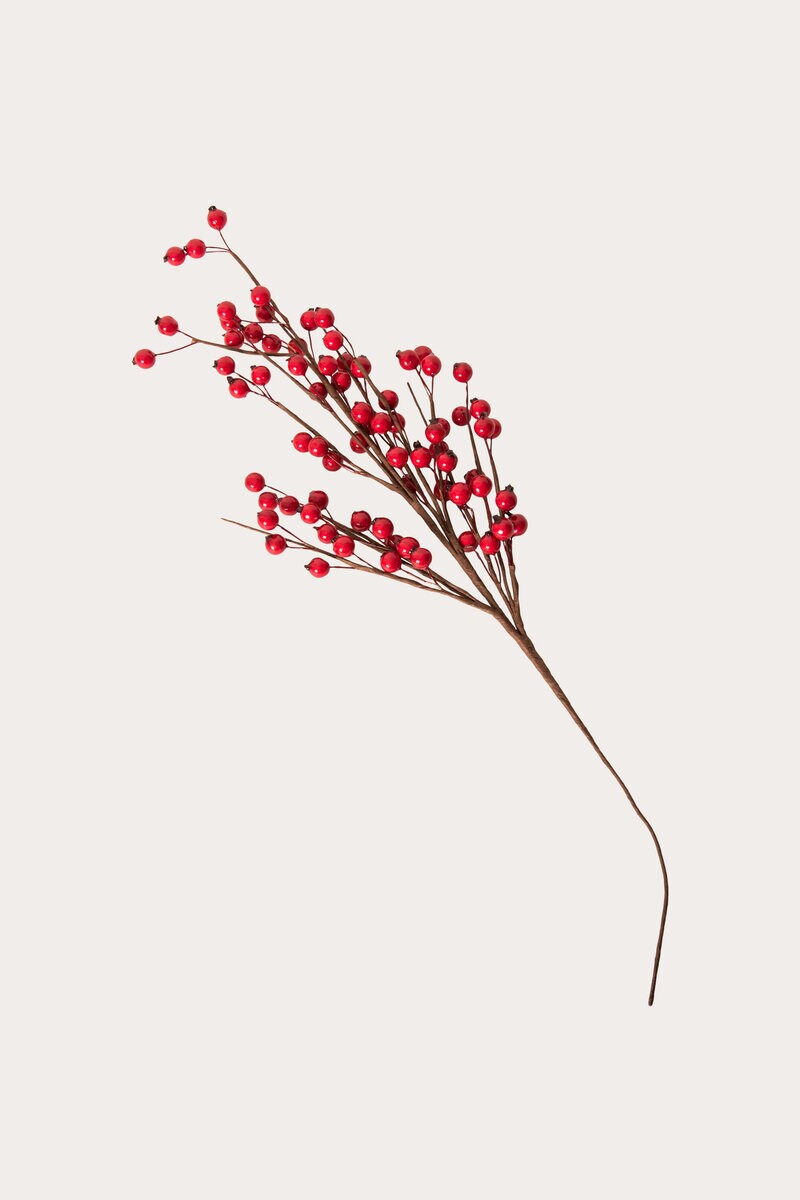 Product Image for Kvist Bär