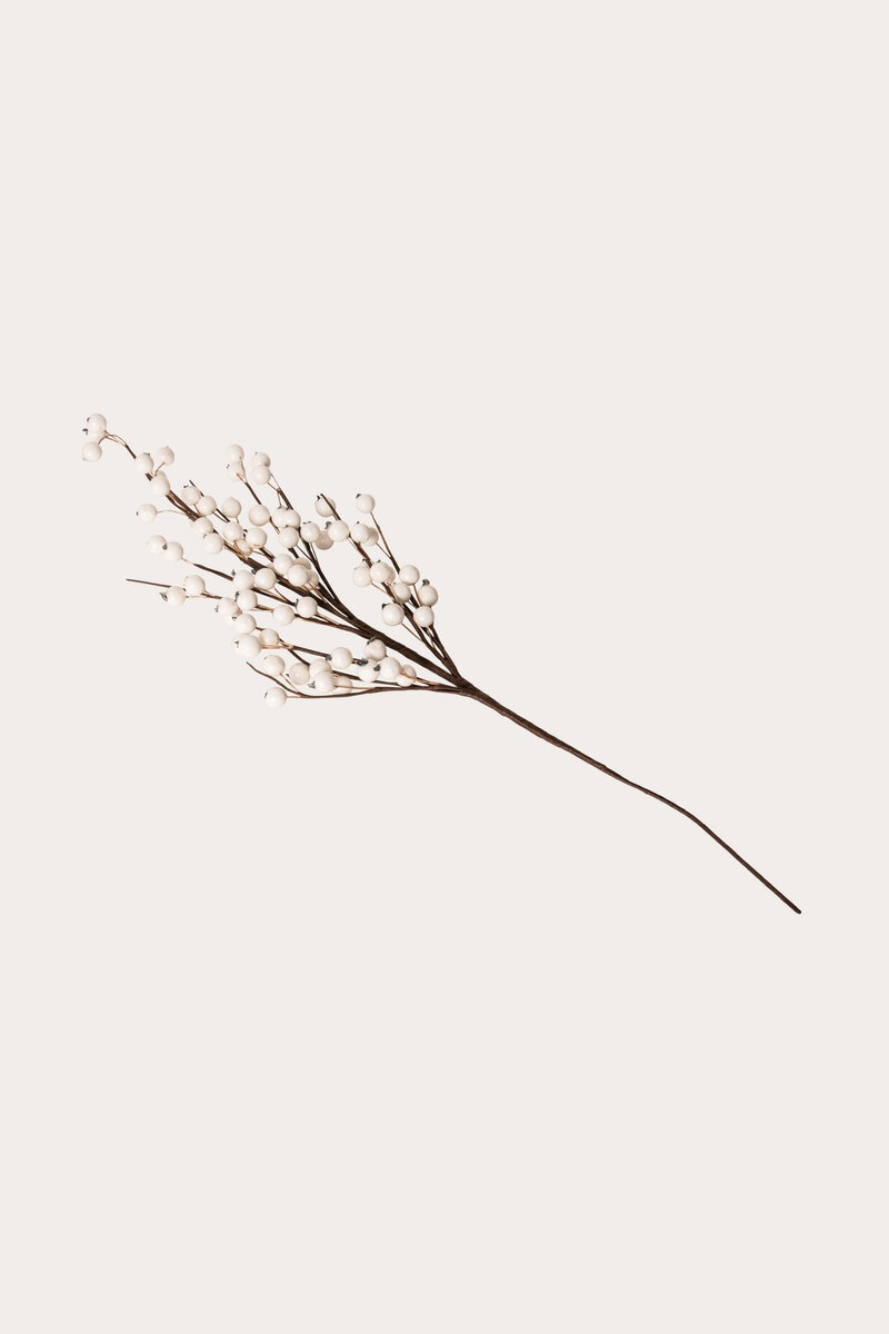 Product Image for Kvist Bär