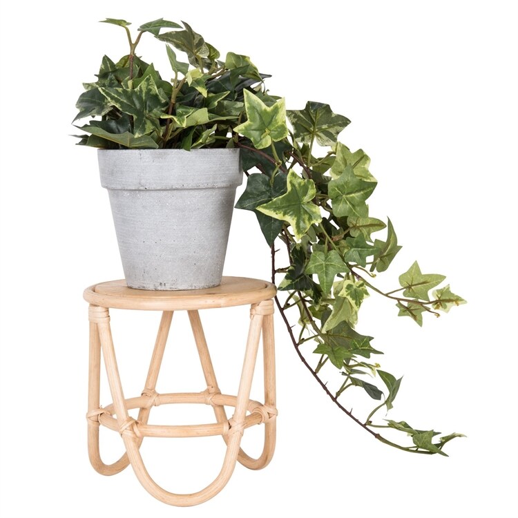 Piedestal SPROUT S