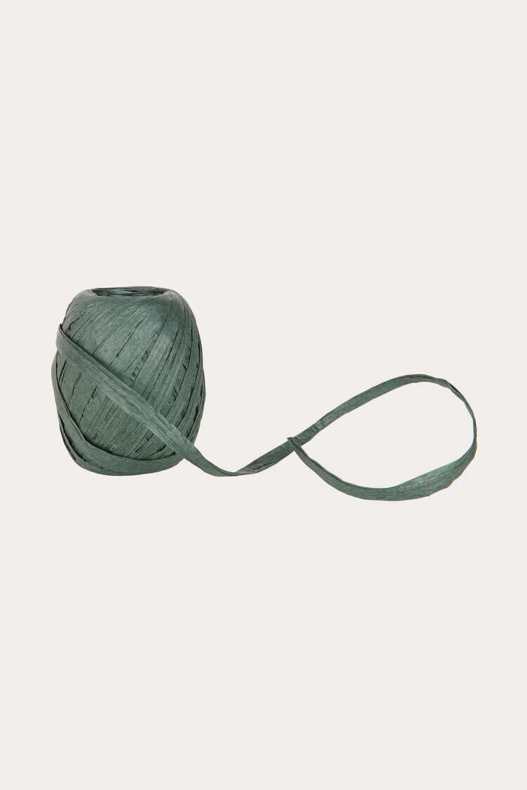 Product Image for Presentband Raffia grön