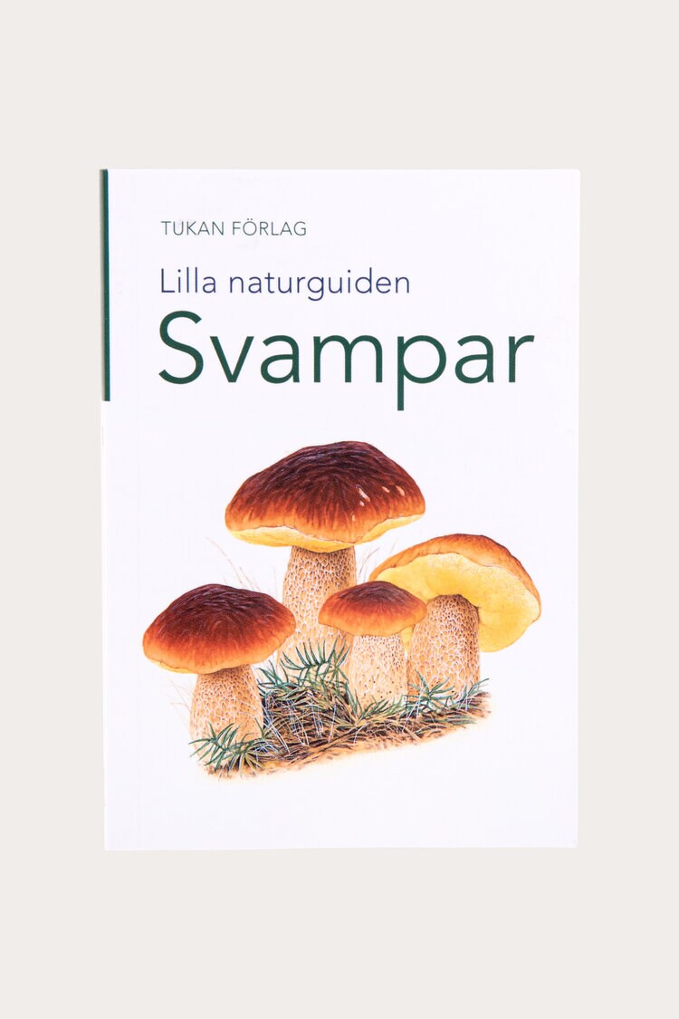 Product Image for Bok Lilla naturguiden svampar