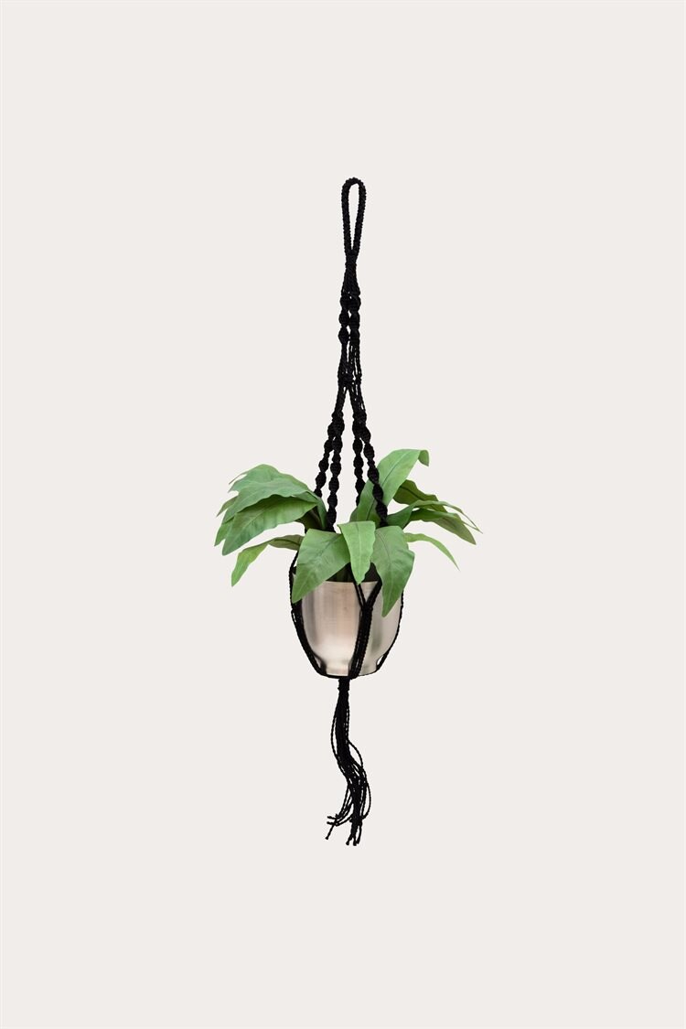Product Image for Ampel Vira svart