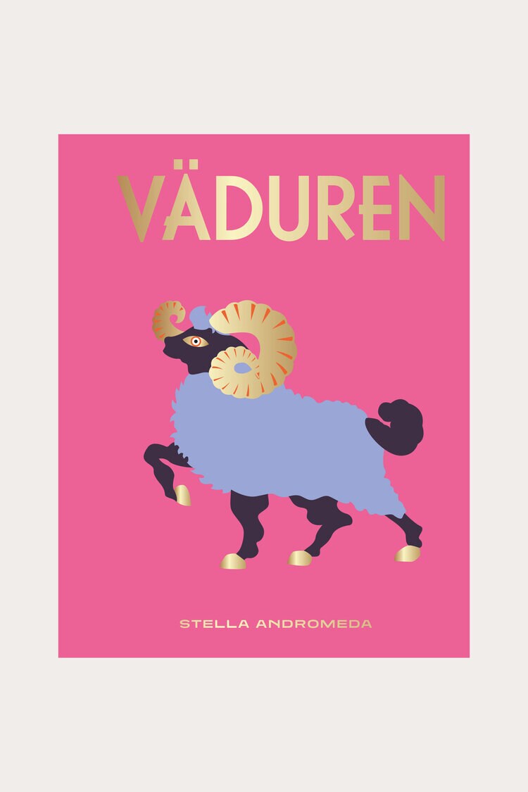 Product Image for Presentbok Väduren