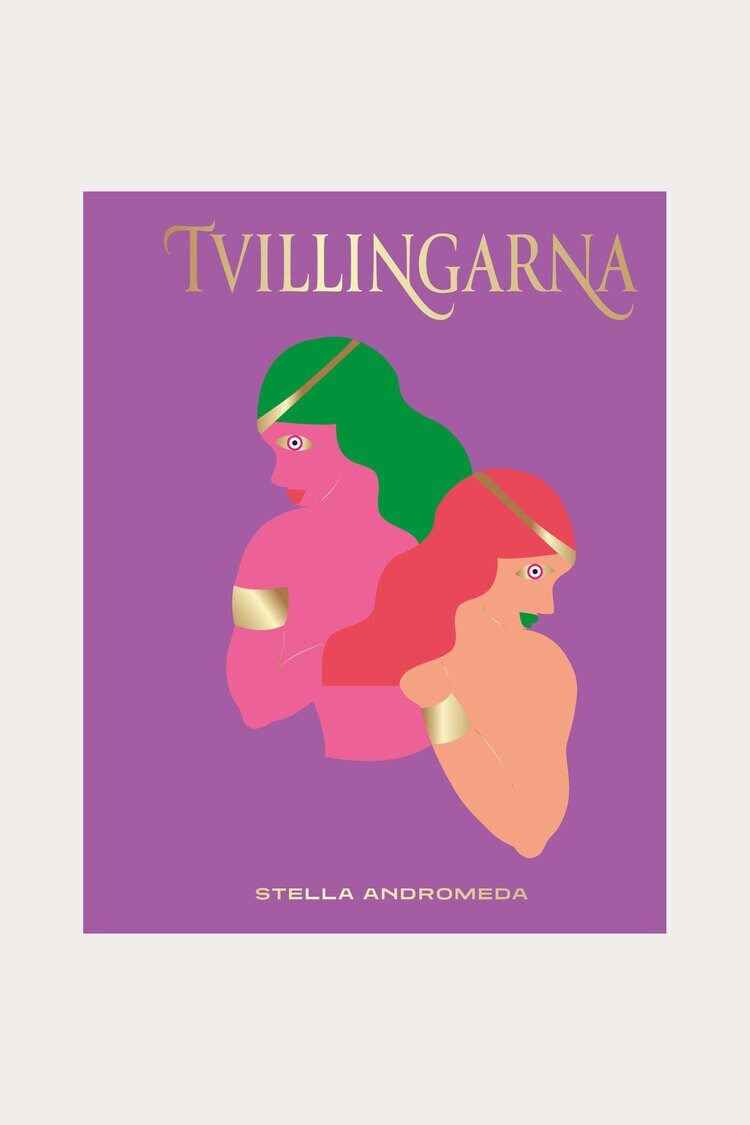 Product Image for Presentbok Tvillingarna