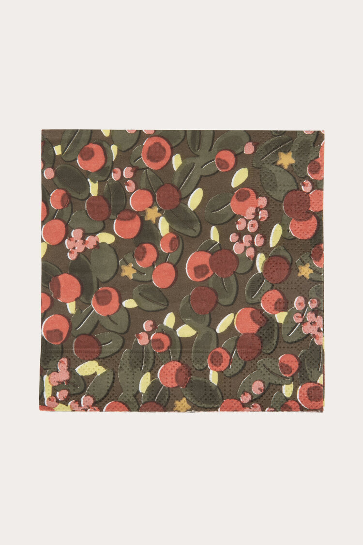 Product Image for Servett Bär