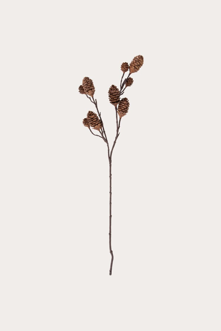 Product Image for Kvist Kottar brun