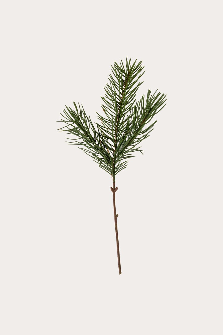 Product Image for Kvist Tall