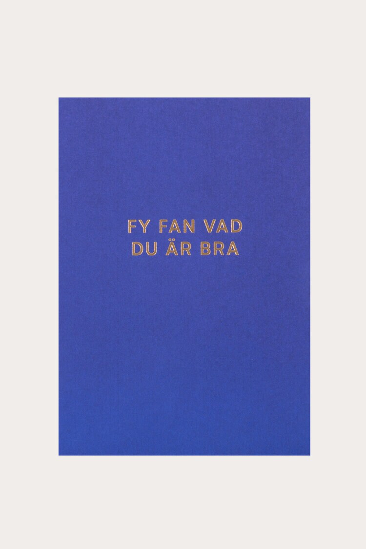Product Image for Vykort Fy fan vad du är bra