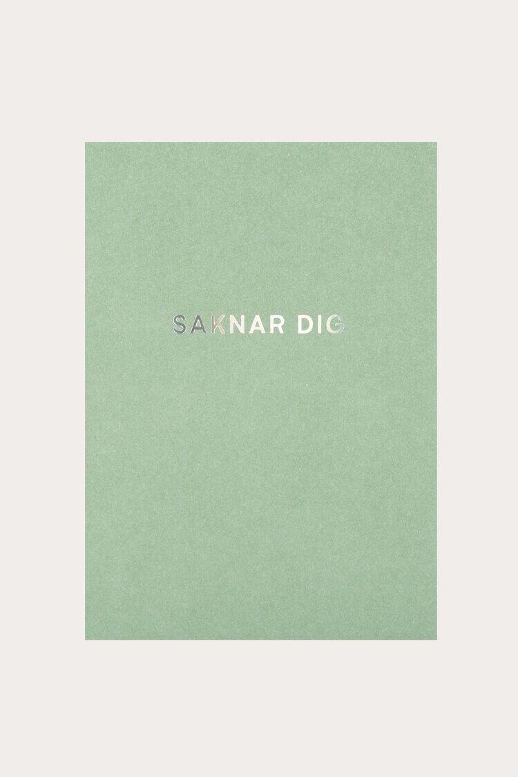 Product Image for Vykort Saknar dig