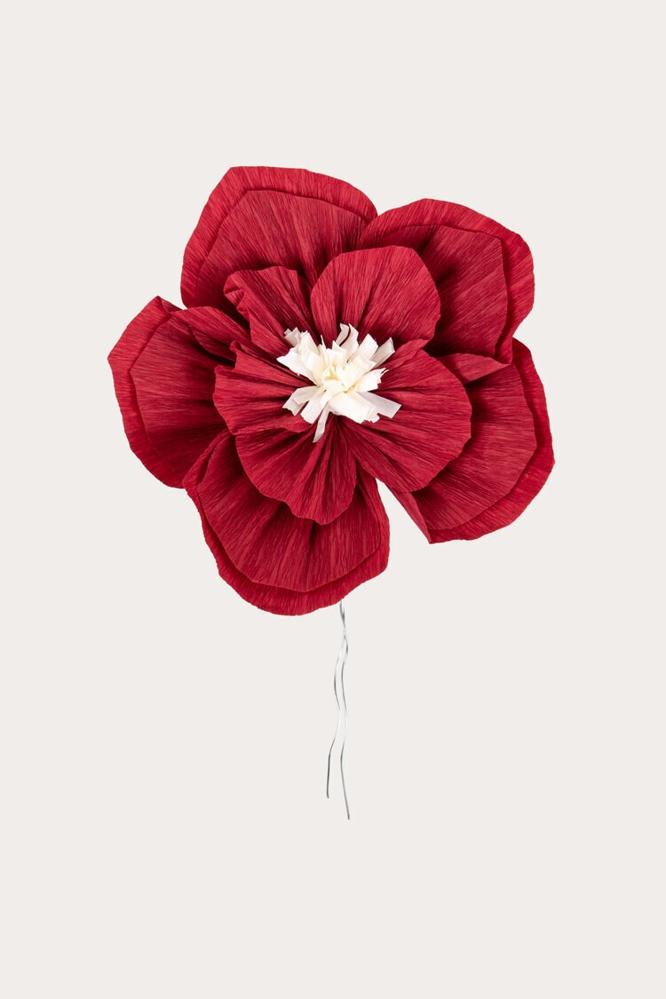 Product Image for Dekoration Amaryllis röd