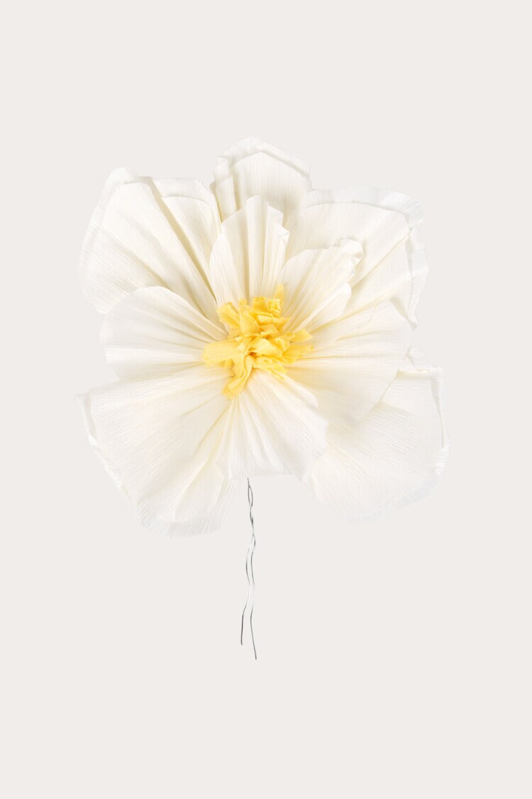 Product Image for Dekoration Amaryllis vit