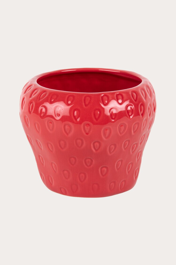 Product Image for Kruka Jordgubbe röd