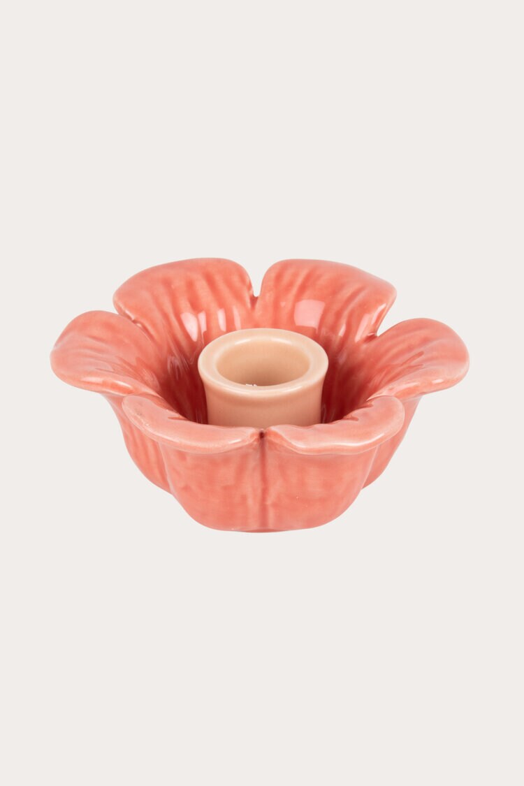 Product Image for Ljusstake Anemone korall