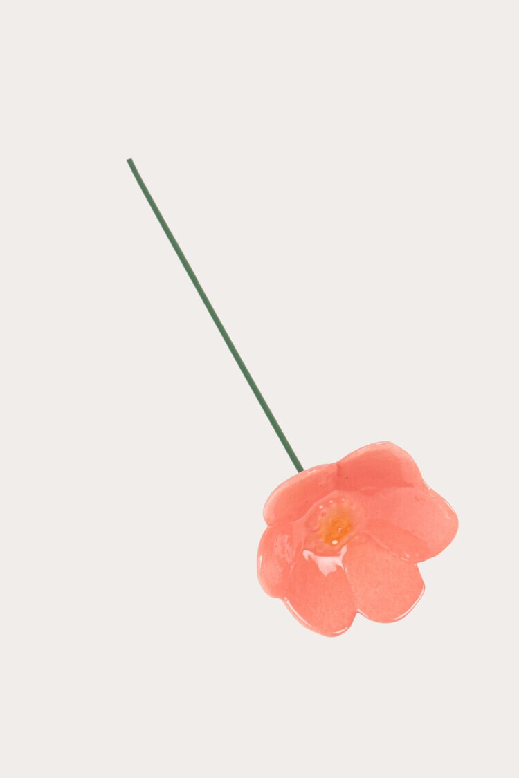 Product Image for Dekoration Våras sippa korall
