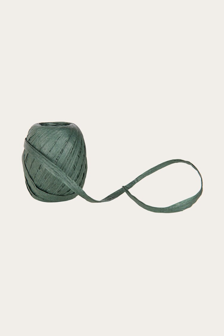 Product Image for Presentband Raffia grönt