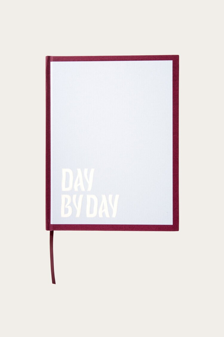 Product Image for Dagbok Day by day