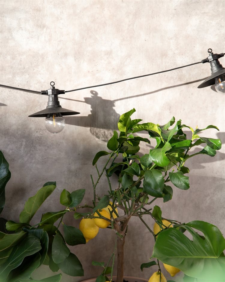 Product Image for Ljusslinga Ute solcell