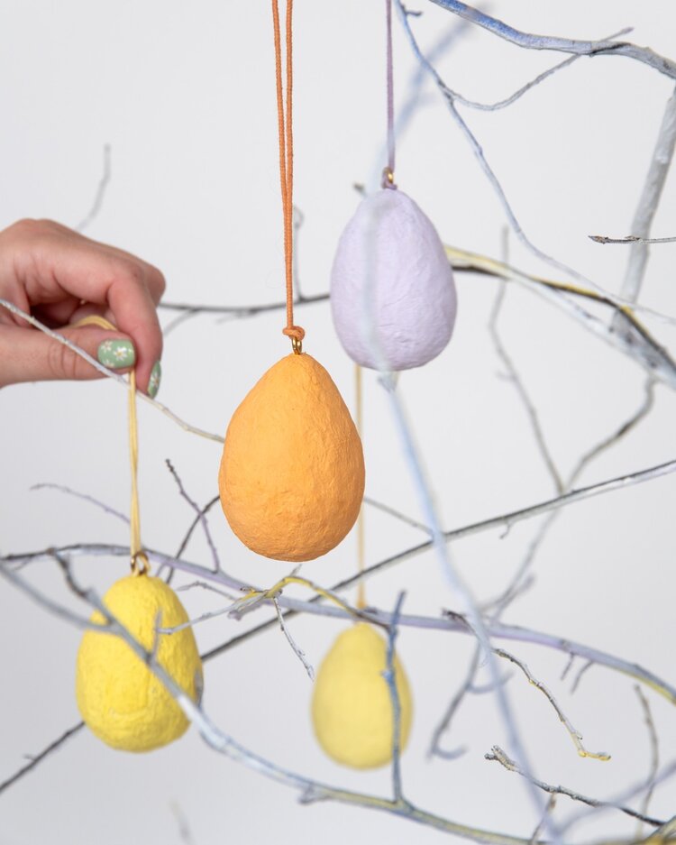 Product Image for Dekoration Fröägg