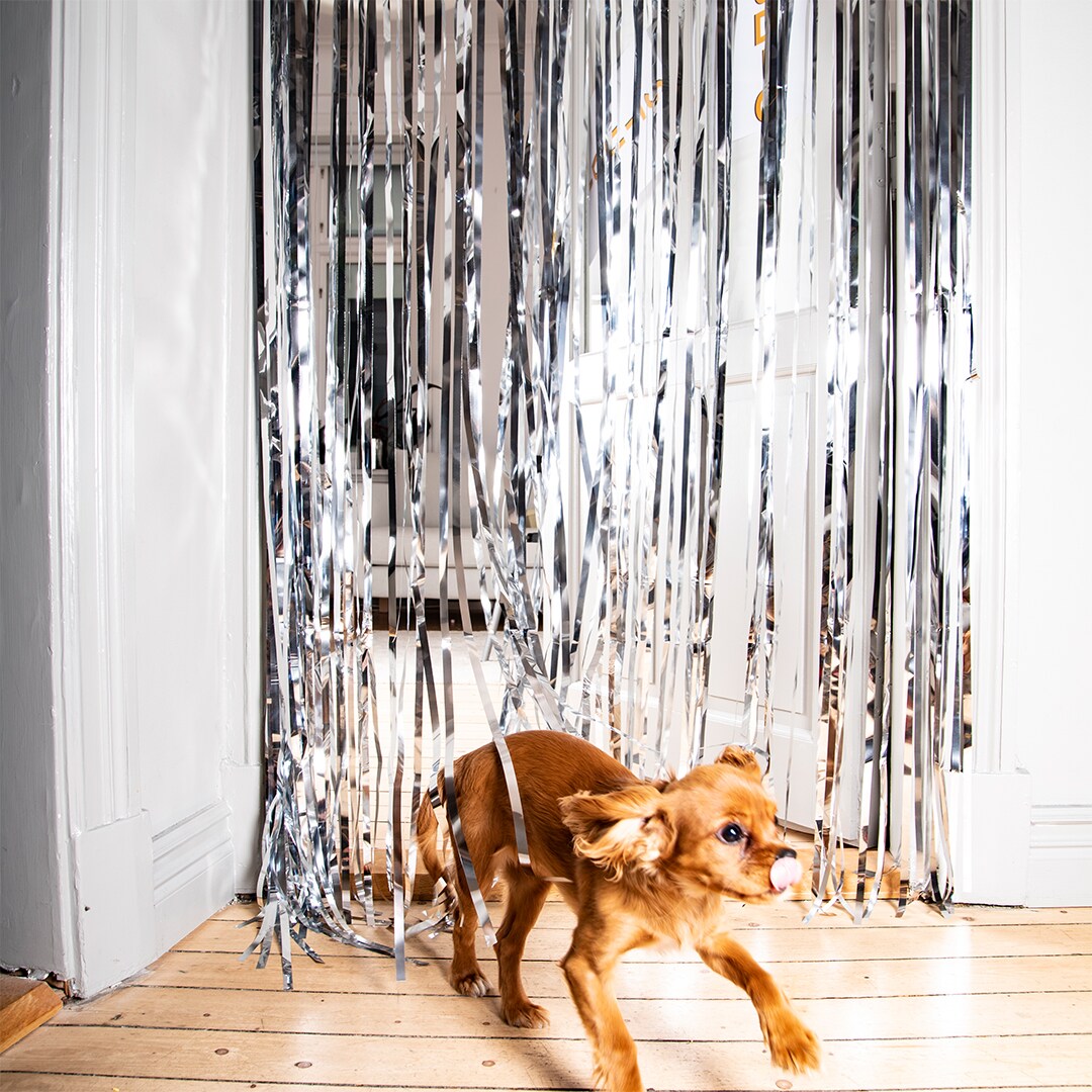 Fransgardin SILVER