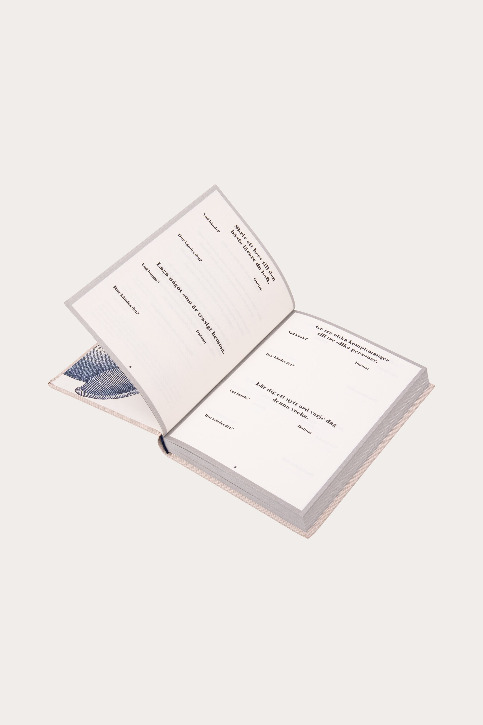 Presentbok 365 UNIKA & ROLIGA UPPDRAG