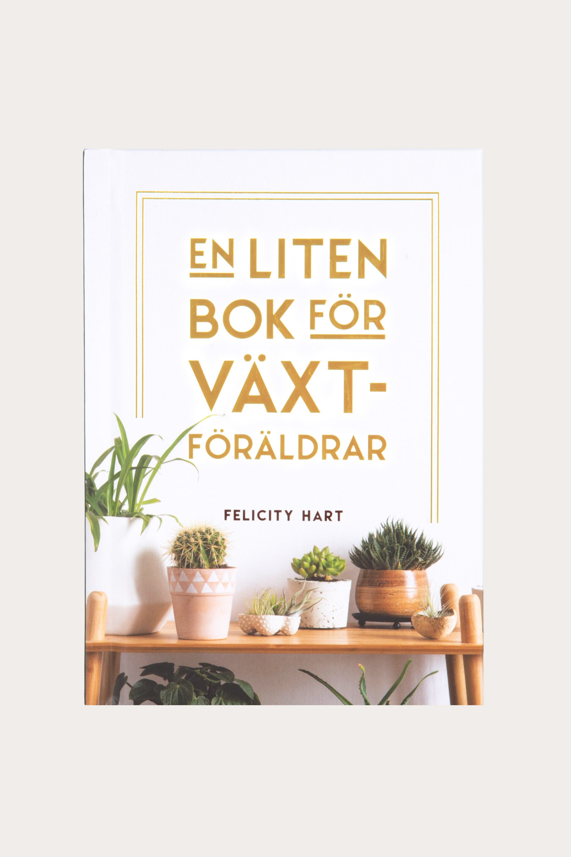 Presentbok EN LITEN BOK FÖR VÄXTFÖRÄLDRAR