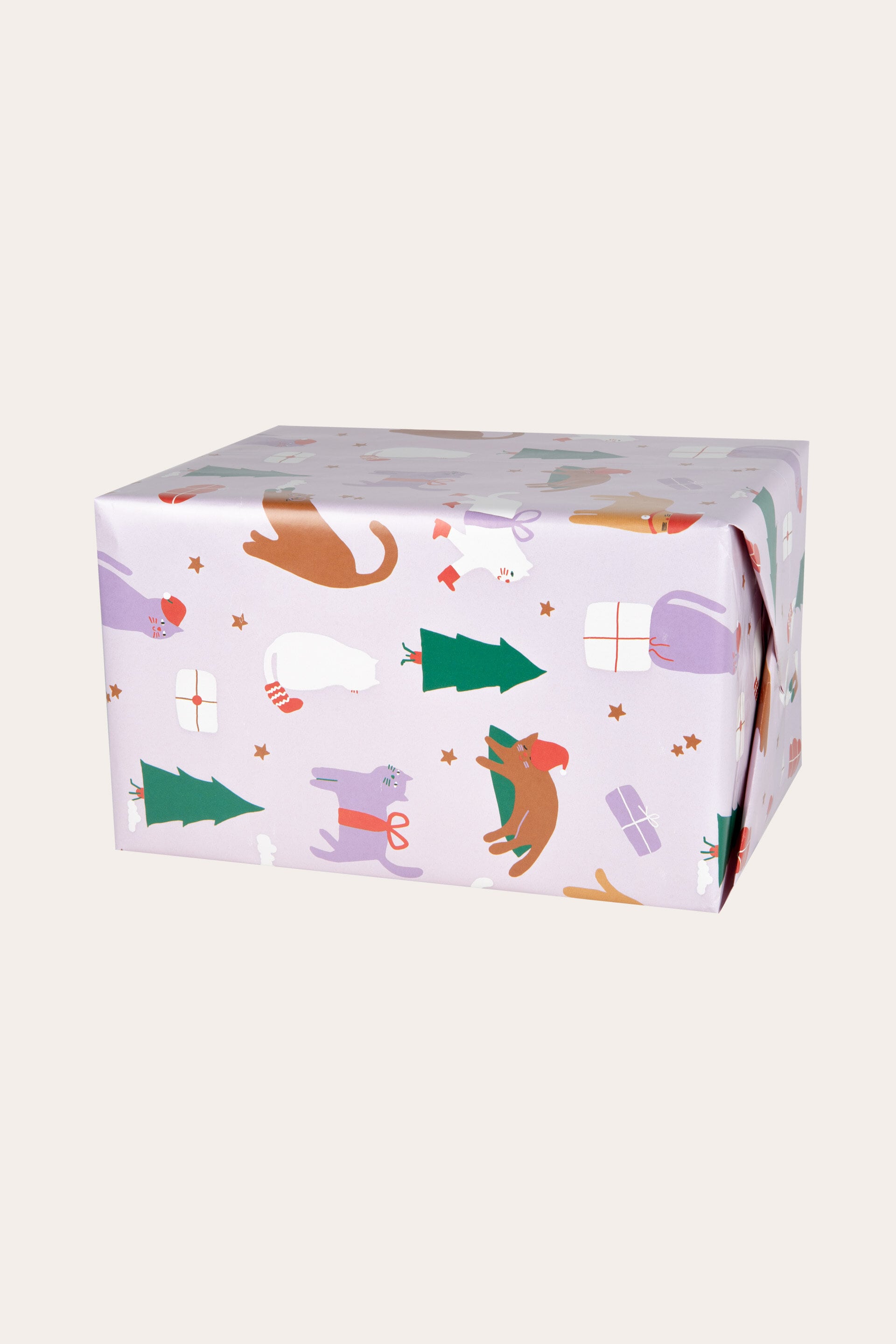 Presentpapper CATMAS