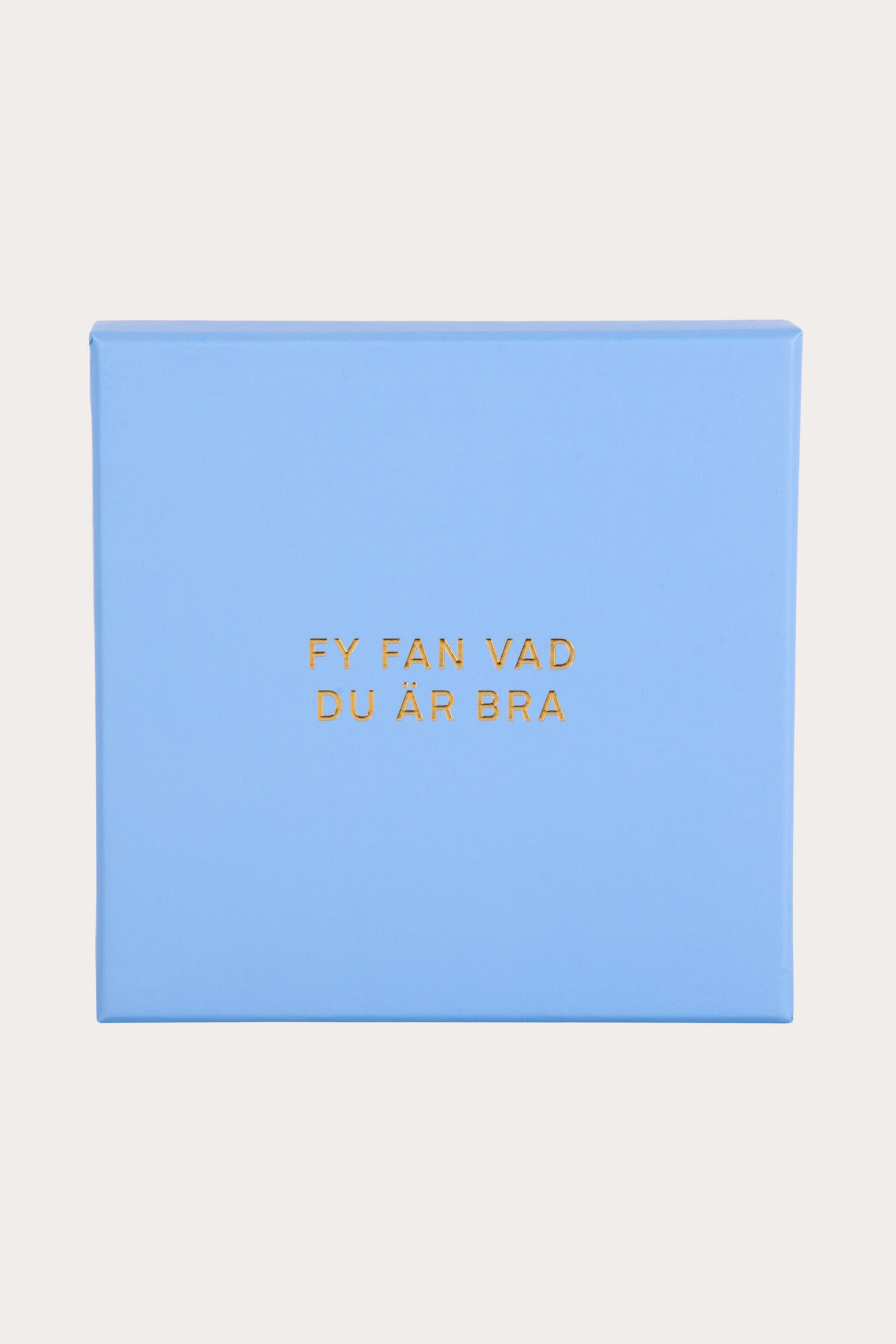 Presentbox FY FAN VAD DU ÄR BRA