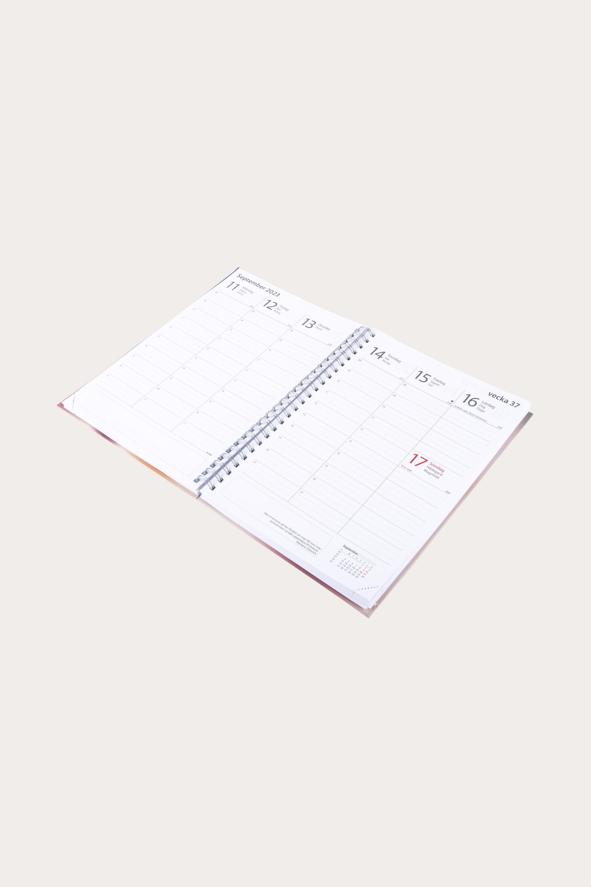 Agenda PLANS FOR THE FUTURE 2023/2024
