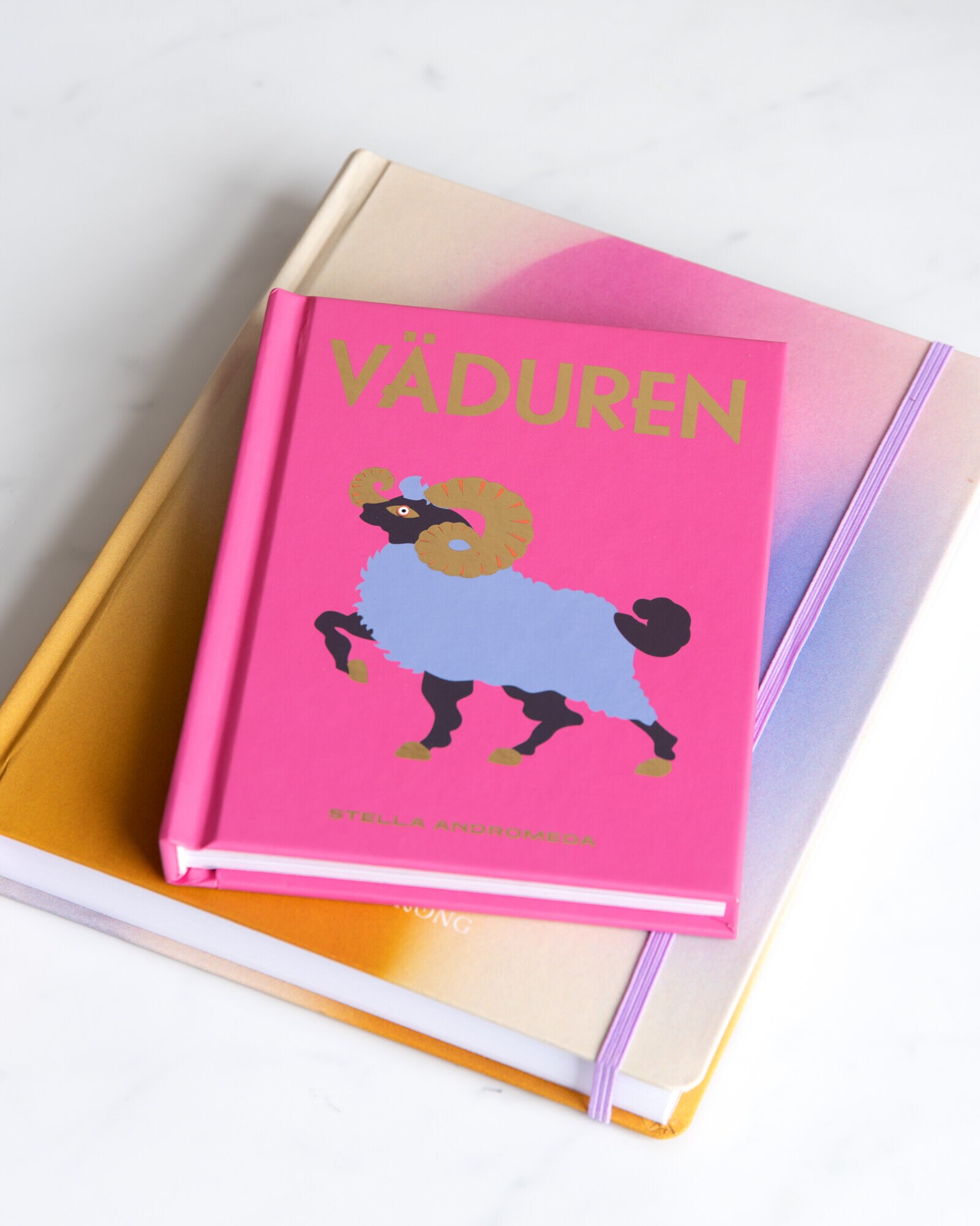 Presentbok VÄDUREN