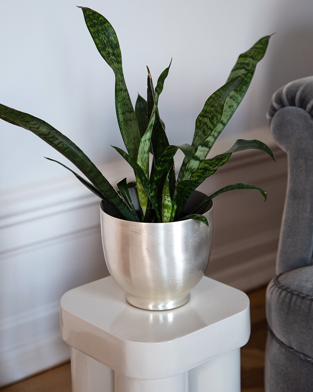 Kruka SILVERPEARL
