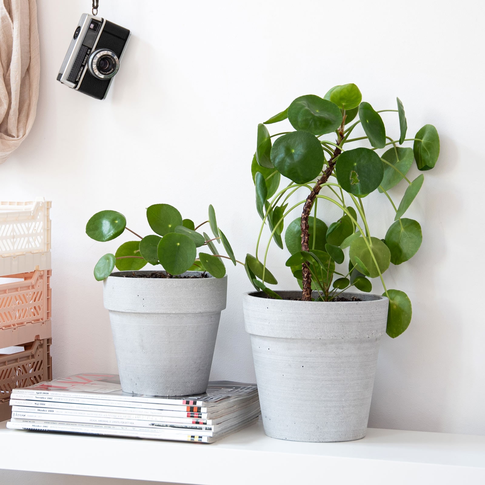 Kruka PLANTERA GRÅ