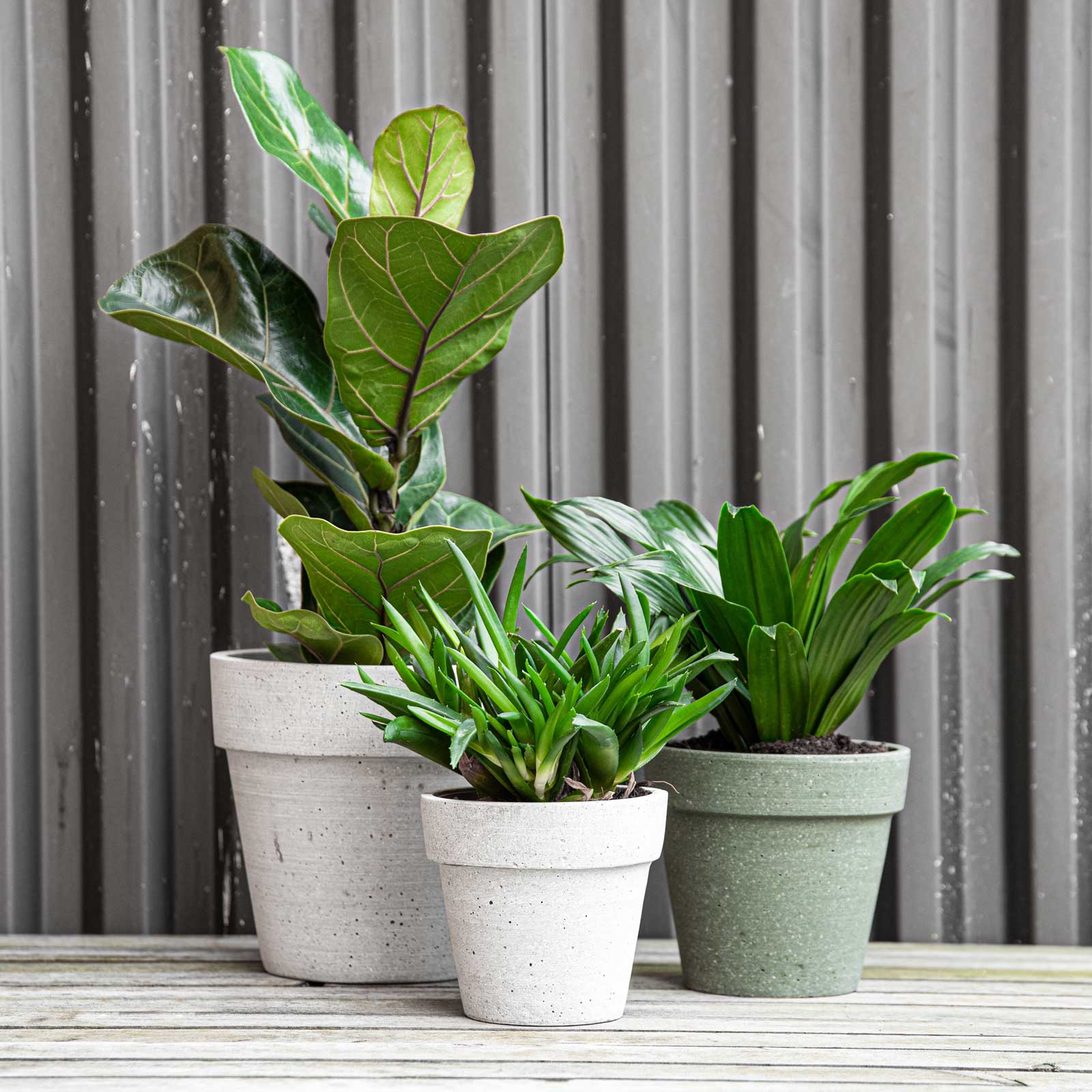 Kruka PLANTERA Lagerhaus.se