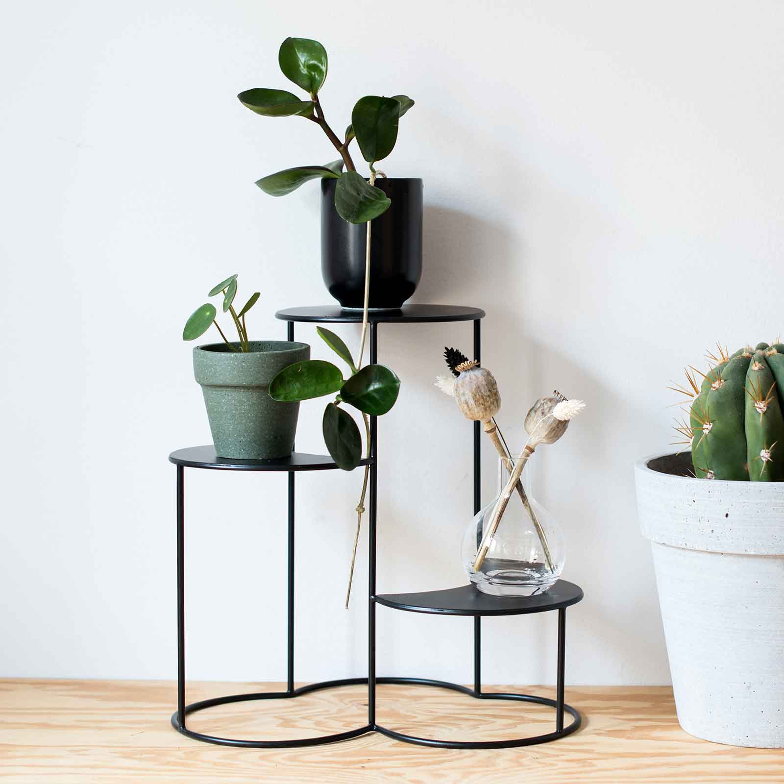 Pots pour plantes + vases - acheter chez Do it + Garden Migros