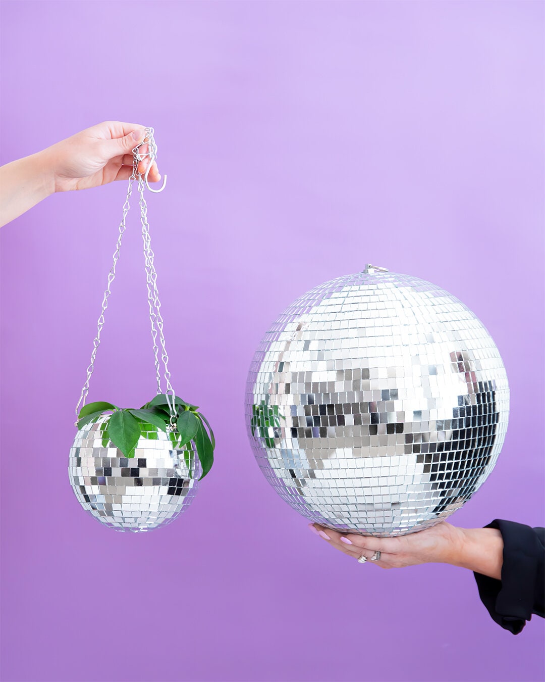 Kruka DISCO