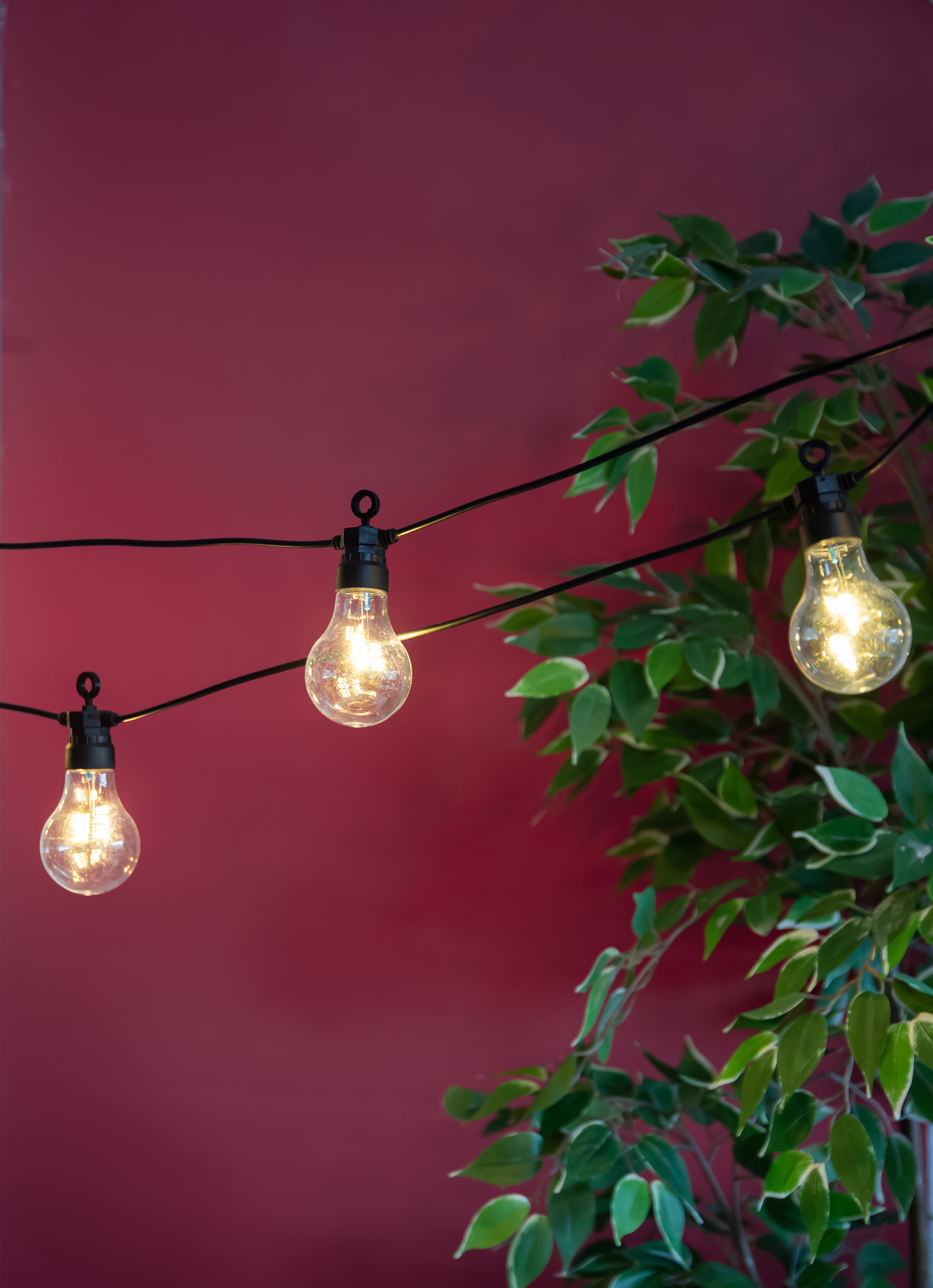 Ljusslinga LED